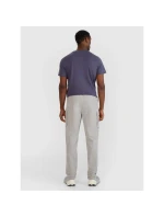 Pánské volnočasové kalhoty model 21815410 - 4F Pánské volnočasové kalhoty model 21815410 - 4F