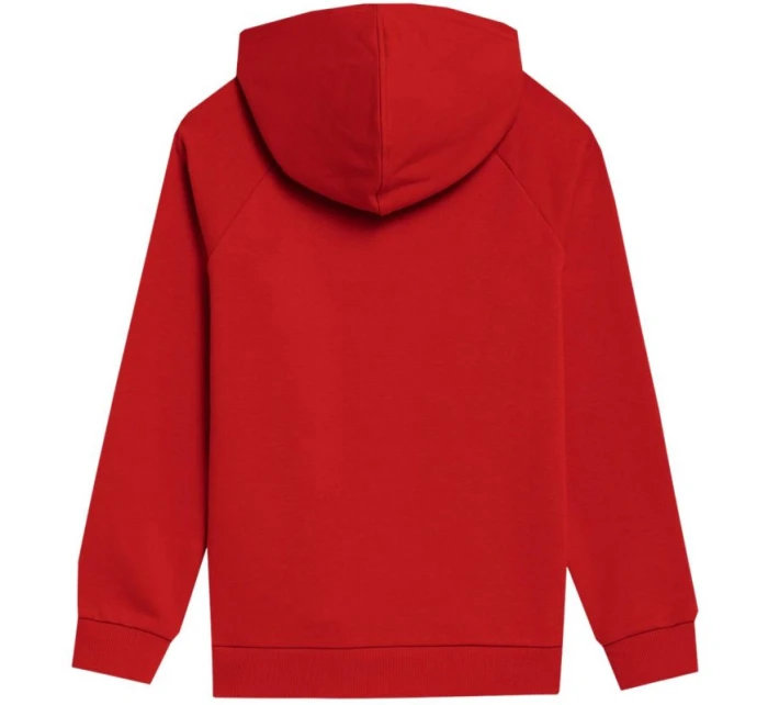 Chlapecká mikina 4FJSS23TSWSM220 62S - 4F Chlapecká mikina 4FJSS23TSWSM220 62S - 4F