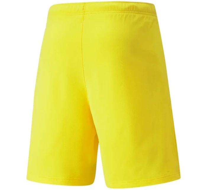 Pánské šortky teamRISE Cyber M 704942 07 - Puma