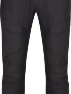 Pánské outdoorové kalhoty  In II Černé model 18684412 - Dare2B