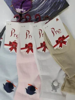 Dámské ponožky model 14966926 - PRO