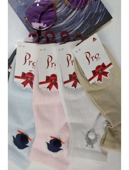 Dámské ponožky PRO 20504