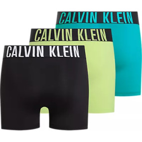 Pánské spodní prádlo BOXER BRIEF 3PK 000NB3609AOG5 - Calvin Klein