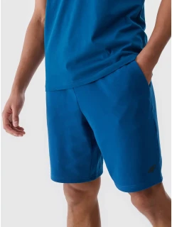 Pánské kraťasy 4F