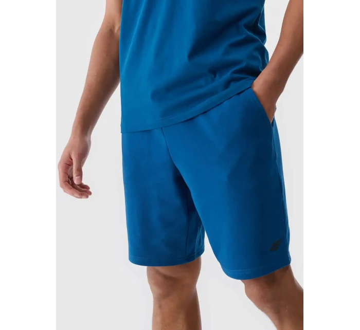 Pánské kraťasy 4F Pánské kraťasy 4F