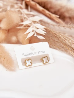 Náušnice z nerezové oceli model 21772378 - Boto