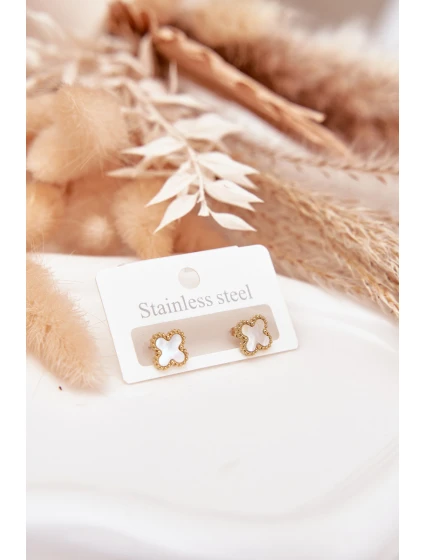 Náušnice z nerezové oceli model 21772378 - Boto