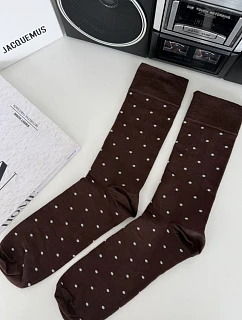 Pánské ponožky Dots 0125.146