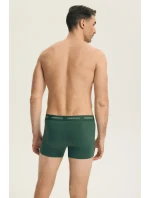 PÁNSKÉ ŠORTKY 2PACK DLOUHÉ model 21902105 - Henderson