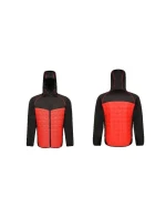 Pánská bunda  Thermal M model 17084993 - Regatta