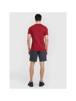 Spodenki  męskie model 21460720 - 4F