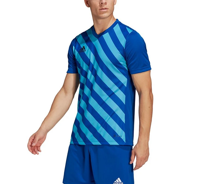 Pánský dres Entrada 22 Graphic Jersey M HF0116 - Adidas