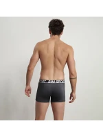 Pánské sportovní boxerky 3 ks DIM SPORT MICROFIBRE BOXER 3x - DIM SPORT - šedá