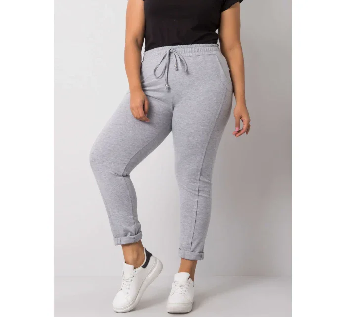 Tepláky RV DR 6300.19 šedá