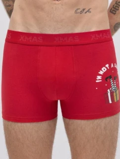 BOXERKY model 21482145 - Ysabel Mora