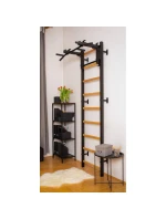 GYMNASTICKÝ ŽEBŘÍK S NASTAVITELNOU KOVOVOU TYČÍ 731B BENCHK