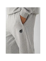 Spodnie dresowe joggery męskie 4F 4FRAW26TTROM2176-27M