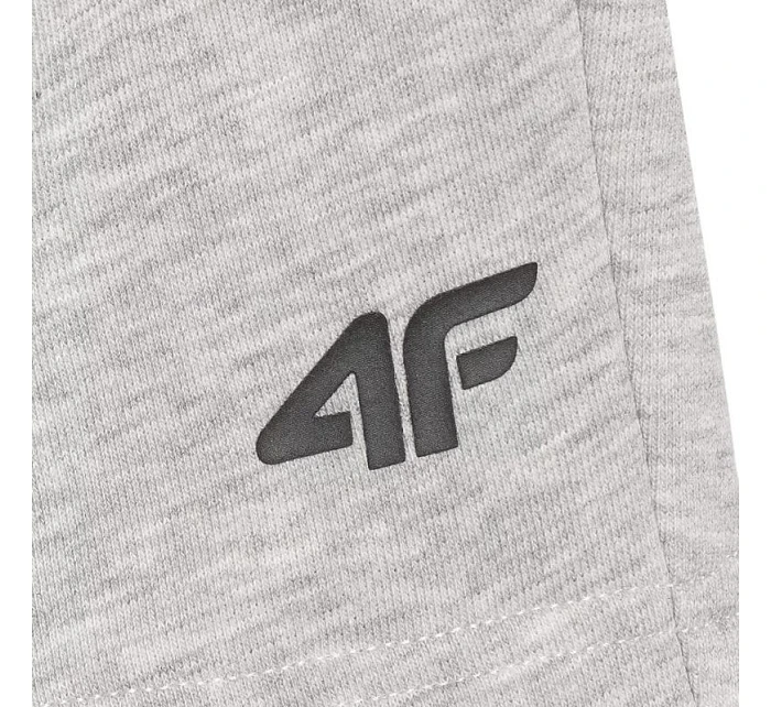 Šortky 4F CAS M543 M 4FWMM00TSHOM543 27M Šortky 4F CAS M543 M 4FWMM00TSHOM543 27M