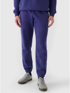 Pánské tepláky  tepláky model 21437415 - 4F