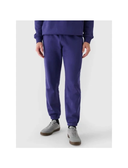 Pánské tepláky tepláky model 21437415 - 4F Pánské tepláky tepláky model 21437415 - 4F