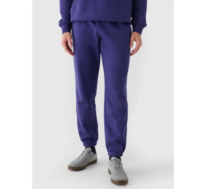 Pánské tepláky tepláky model 21437415 - 4F Pánské tepláky tepláky model 21437415 - 4F