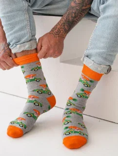 PÁNSKÉ PONOŽKY AVANGARD KRÁLÍK V AUTĚ 0125.112