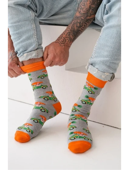 PÁNSKÉ PONOŽKY AVANGARD KRÁLÍK V AUTĚ 0125.112