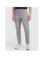 Spodnie  męskie model 21460734 - 4F