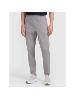 Spodnie  męskie model 21460734 - 4F