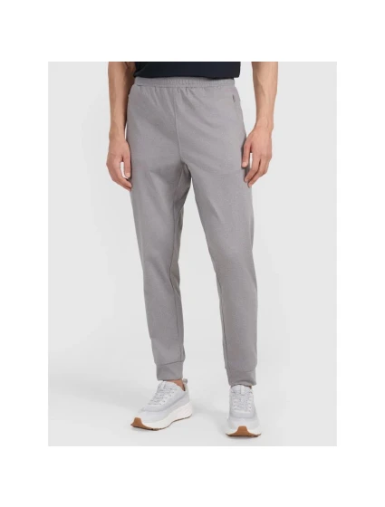 Spodnie  męskie model 21460734 - 4F