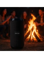 BLUETOOTH  FM   USB-C model 21861629