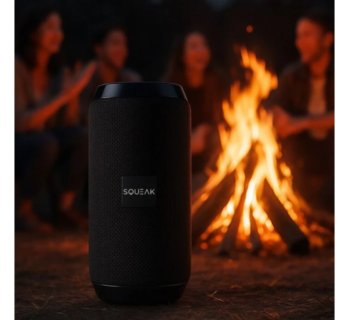 BLUETOOTH  FM   USB-C model 21861629