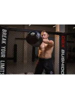 Funkční tréninkové zařízení s model 21437748 - DBX Bushido Funkční tréninkové zařízení s model 21437748 - DBX Bushido