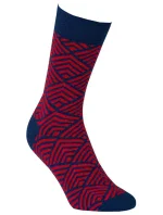 Vzorované pánské ponožky model 7508543 - Wola