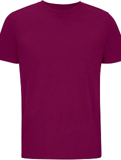 SOL'S Legend Unisex bio IC tričko 25.3981 astral purple