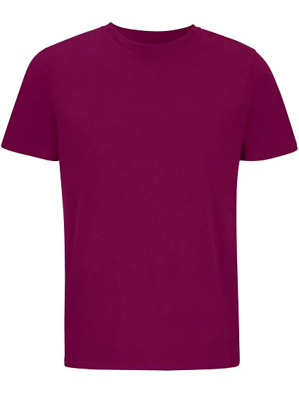 SOL'S Legend Unisex bio IC tričko 25.3981 astral purple
