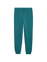 Dětské kalhoty ESS 2 Color No.1 Logo green model 22068601 41 - Puma