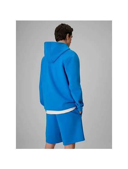 Bluza regular z kapturem męska | pánské model 22551943 - 4F Bluza regular z kapturem męska | pánské model 22551943 - 4F