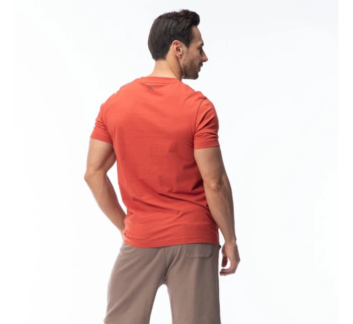 Pánské tričko s krátkým rukávem model 21751988 SP - Hi-Tec