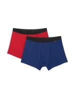 Pánské boxerky 4F M059 2-pack multicolor 2 4FWMM00UBXSM059 92S
