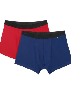 Pánské boxerky 4F M059 2-pack multicolor 2 4FWMM00UBXSM059 92S