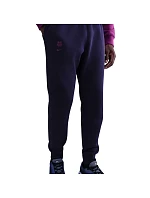 Pánské kalhoty FC Barcelona  594 model 22230398 - NIKE
