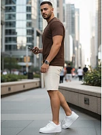 Pánské klasické hnědé tričko FashionStreet RX5679