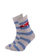 Skarpety  chłopięce wzorowane model 16127234 - Wola