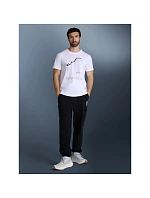 Pánské tričko s potiskem 4F 4FRAW25TTSHM3845-10S