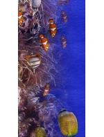 Plážová osuška 100x180 Plážová osuška 100x180