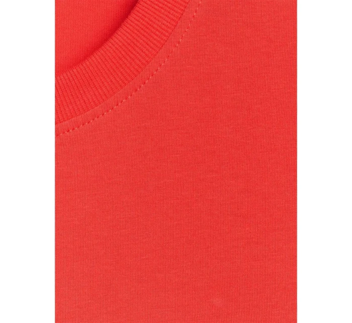 Pánské volejbalové tričko s potiskem 4F 4FRAW25TTSHM3319-62S