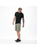 Pánské tričko s krátkým rukávem model 22158082 - Hi-Tec