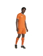 Adidas Entrada 26 JSY Tričko JZ2509