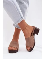 Dámské pantofle na klínku s zlatými sponami tmavě béžové Davessa